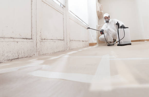 24/7 Emergency Attic Mold Removal experts in Rancocas, NJ